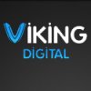 Viking 3.jpg